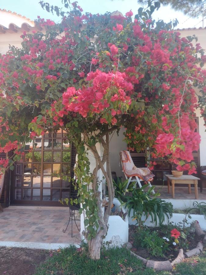 Casa 19 Apartment Албуфейра Екстериор снимка